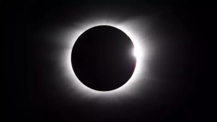 The Black Moon Brings a New Liberating Weapon for Humanity—The Ambroshia Trinity